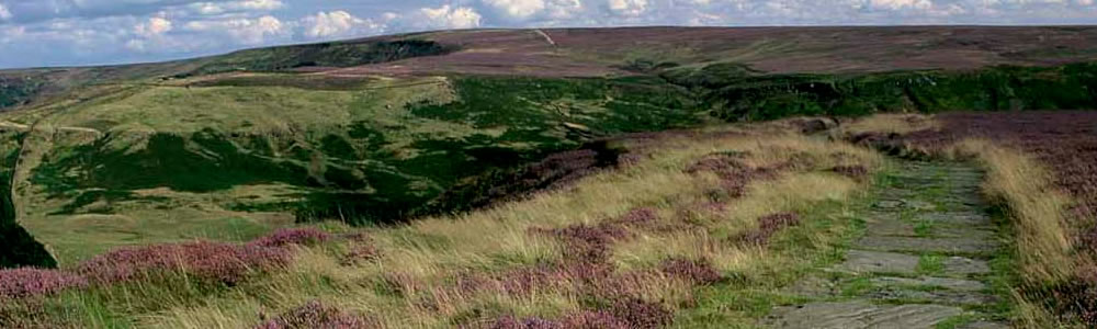 North Yorkshire Moors
